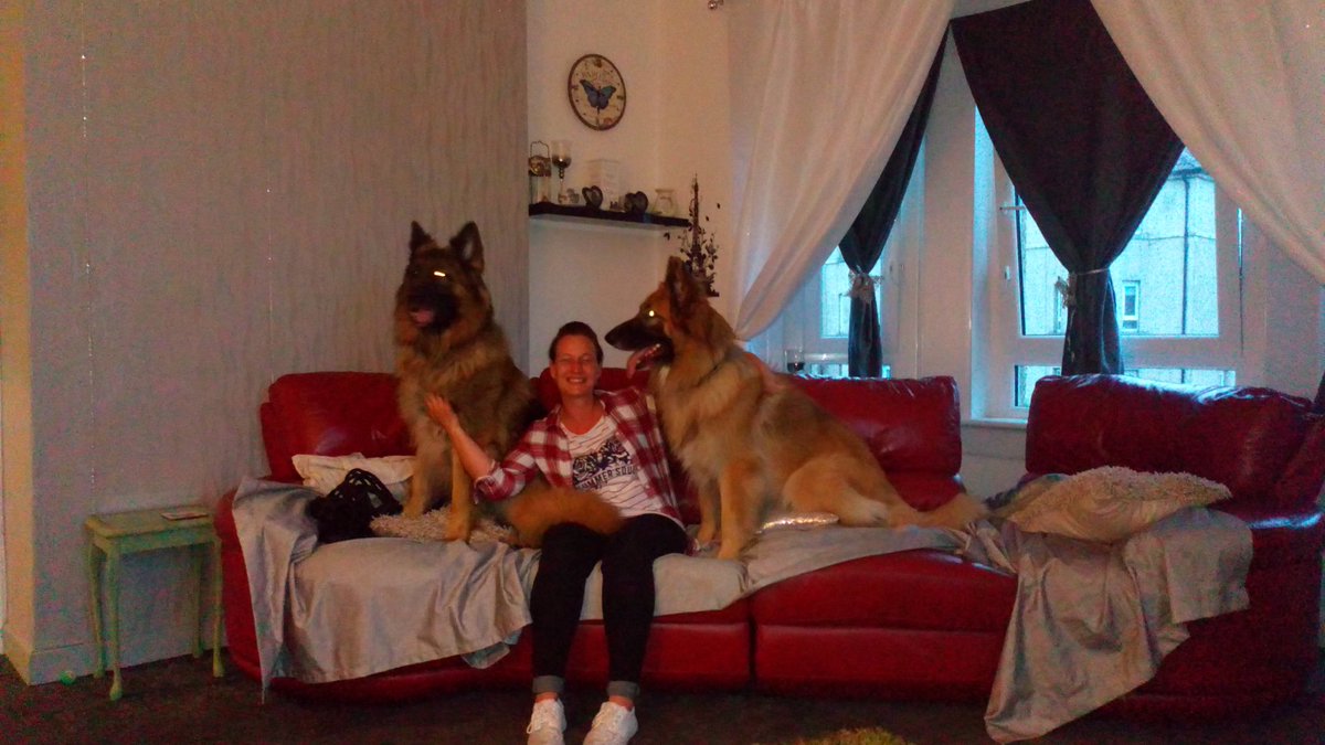 macphee1981's tweet image. 