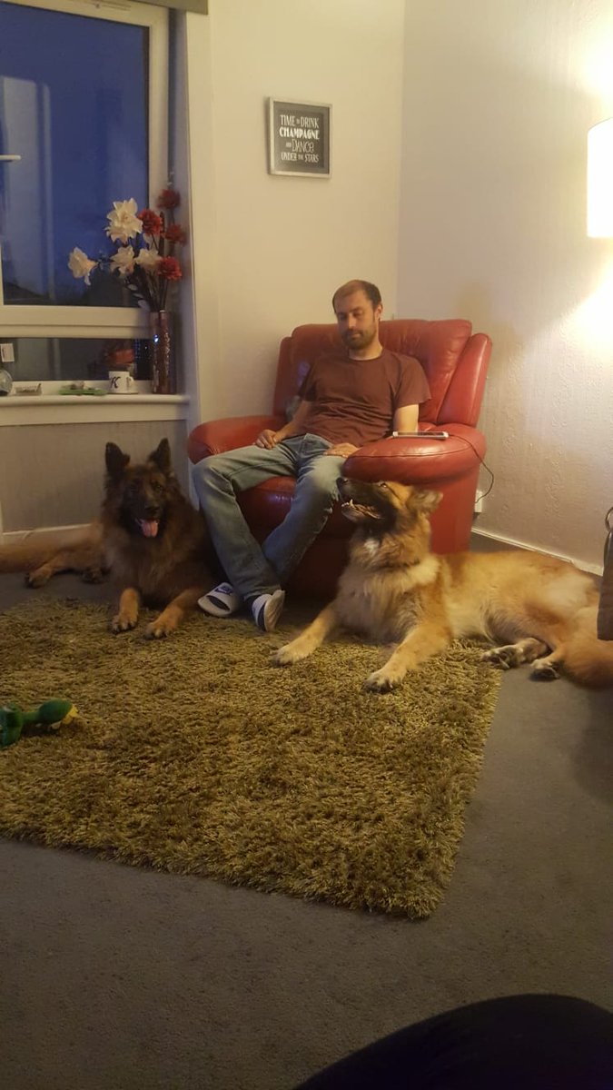 macphee1981's tweet image. 