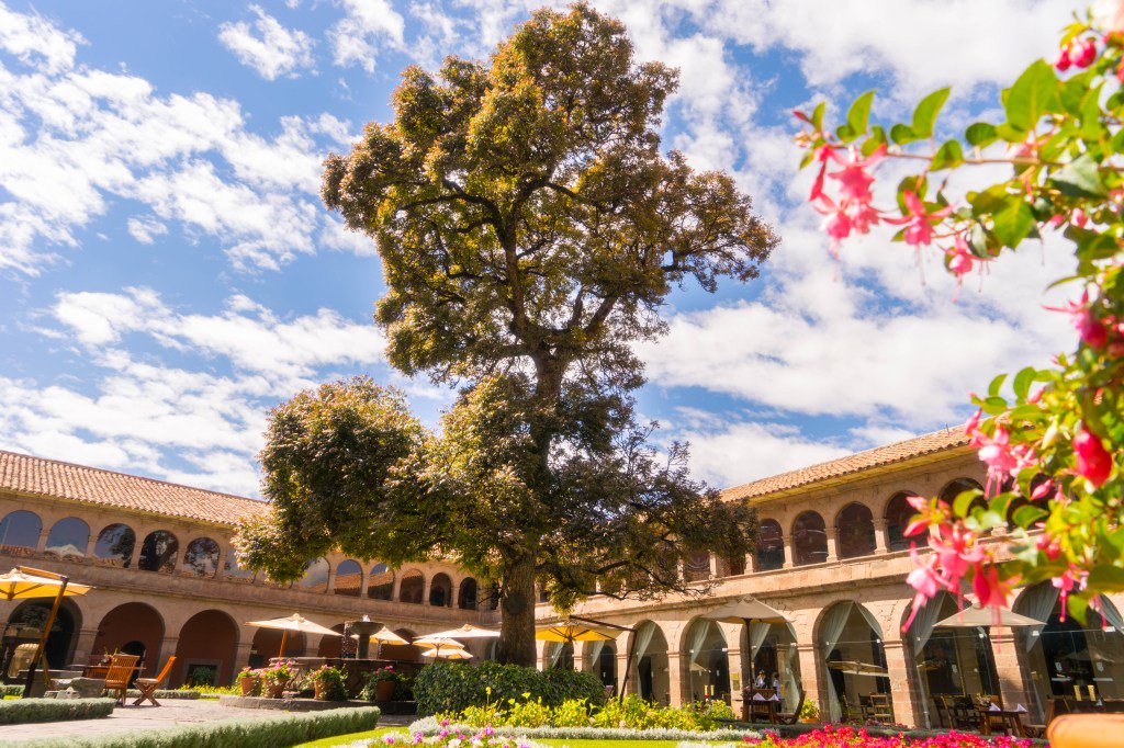 cuzcoeats's tweet photo. El árbol mas antiguo del Cusco: Cedro Andino https://t.co/IbqaX0d4jM https://t.co/dVWRNsUwB2