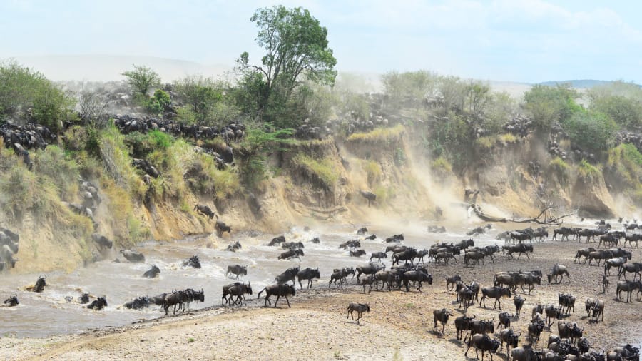 CNN's tweet photo. 8 of the best safari destinations in Africa https://t.co/2YfAqwJLQm https://t.co/OT8ZKsTibw