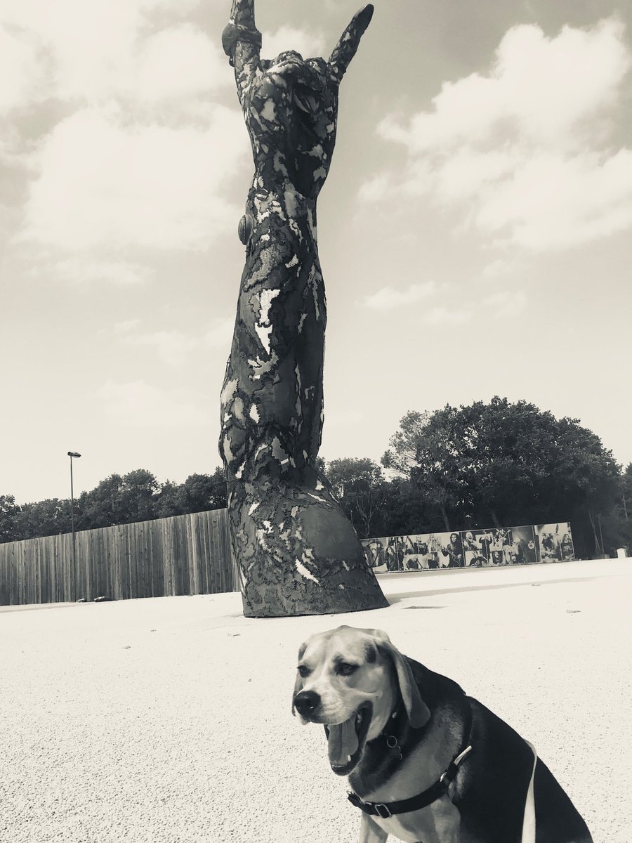 boxitch's tweet image. #helldog #HellFest