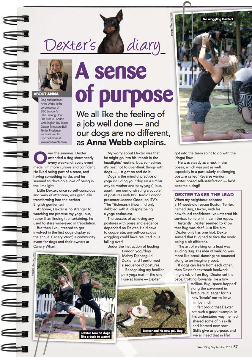 Check out Mr Bink's  latest column (written in his pen name!) in September's <a href="/yourdog/">Your Dog Magazine</a> out now! Enjoy! 😎🧡🐶