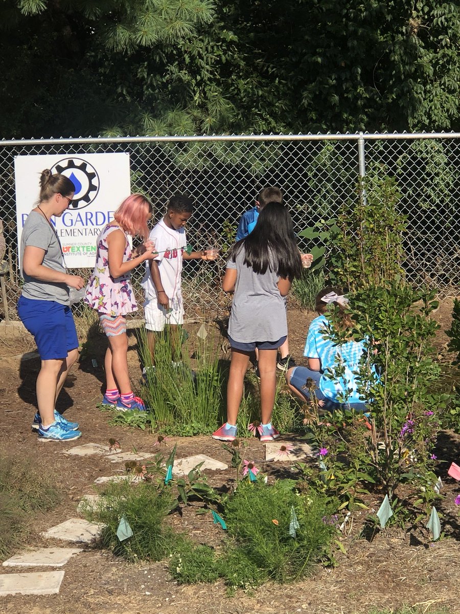 This morning we caught tadpoles in the rain garden pond while learning about animal adaptations. @WeAreUnionSTEM