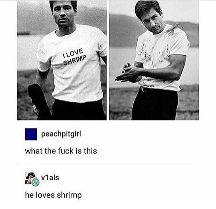Happy birthday to david duchovny this is still one of my favourite posts ever 