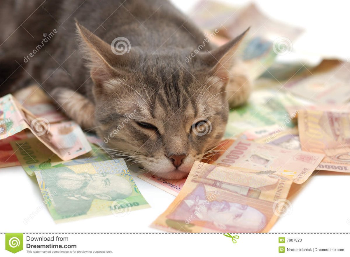 Good night.<a href="/IsabelPerez1232/">💦Isabel Perez 💦</a> <a href="/tesamarylagvaz1/">Luz María 🇲🇽</a> <a href="/AvellarPaulo/">pedro paulo avellar</a> <a href="/captsingh/">Captain Singh, FICArb, 73K</a> <a href="/MarekStpie4/">Marek Stępień</a> @joeldesouza2626 @FlorekFan <a href="/KibetzVal/">BOX VILLAT</a>  <a href="/lazurit_plus/">Olga</a> <a href="/fadeeva9/">Наталья Фадеева</a> <a href="/Valeria20june/">Валерия ❤</a> <a href="/irina3529/">Ирина А</a> <a href="/ziziosama2gmail/">ZIZIT</a> <a href="/FlowergirlPaula/">⚘🌺sweet pea..🌷▪︎🩷*~💕⚘🌸🌷☆⚘○🩷~♡☆⚘🌷▪︎🦋🌸•°~*</a>  <a href="/XrisiPet/">Xristina Petrova</a> <a href="/Fifonka13/">Iwona</a> <a href="/shakyaminima/">Keey Kornakov</a> <a href="/KhanMobeena/">Mobeena Khan</a>