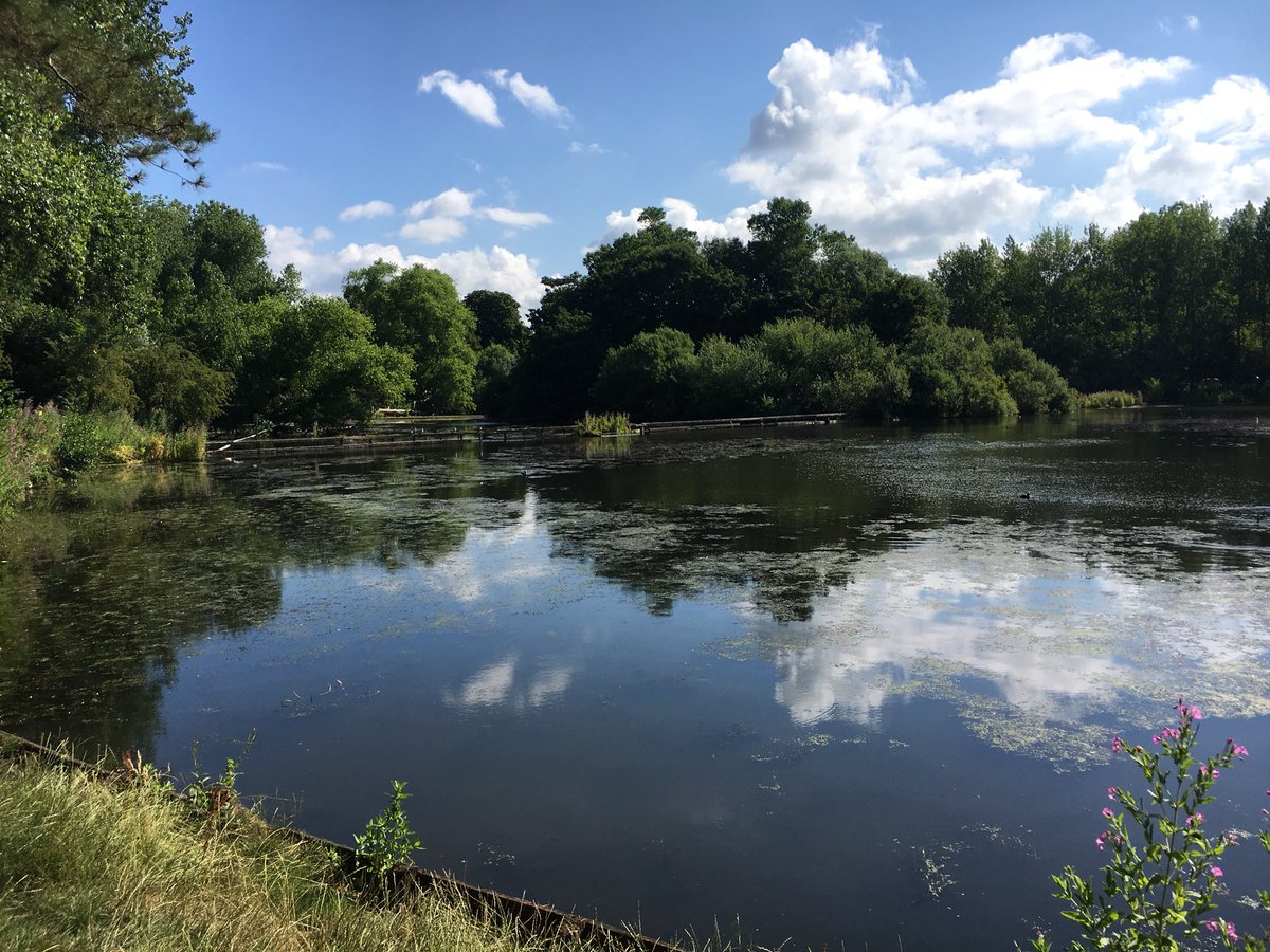 TracyBosanko's tweet photo. I spent over ten years managing national consumer PR for Lancashire and it was a fantastic job - great colleagues, places, people, food, history - so many wonderful stories to tell. Still love Lancashire and views from two recent walks there give a tiny glimpse as to why. https://t.co/lRA3w2PTm7