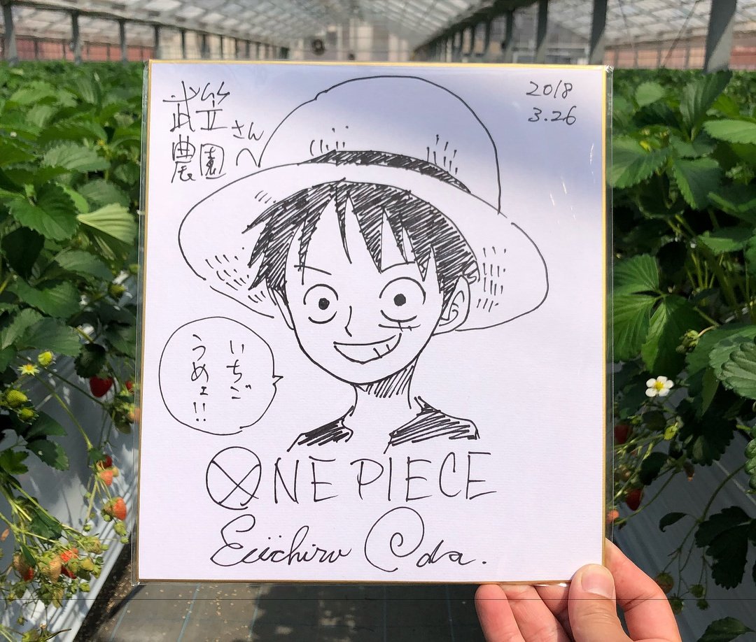 One Pieceが大好きな神木 スーパーカミキカンデ こんなことを書くと変態と間違われそうなんですけど 今日instagramを漁って尾田さんのサイン色紙を新たに発見してしまいました そして あー 目次コメントにあったなー と思ったらやっぱり