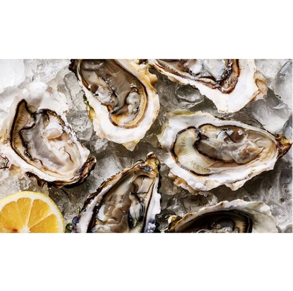 scotginfest's tweet photo. In an oceanic twist on September’s #ScotGinFest, we can’t wait for the oyster pop-up from Wilson's Catch of The Day @finniestonfish - indulge in freshly landed Scottish oysters &amp; over 25 gins to taste... Have you got your tickets yet? #bethere #eatscottish #visitscotland https://t.co/A9V0g2SvJx