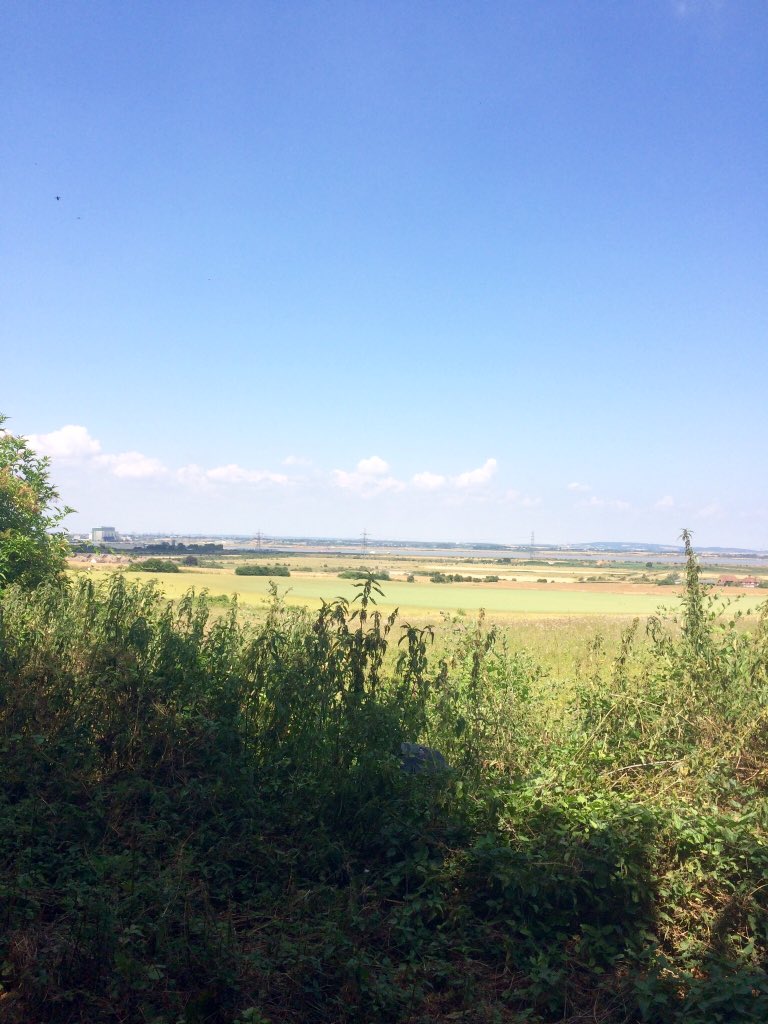 IceBlueStardust's tweet photo. I spent about 20 mins trying to rescue a butterfly from inside the church when sorting the flowers. 🦋Sounds silly, but after watching it flutter off to freedom towards the fields, I felt really sad. Those fields & its wildlife could soon be gone. 🌹#NoToOptionC #SaveTheGreenbelt https://t.co/8DDzlPdcds