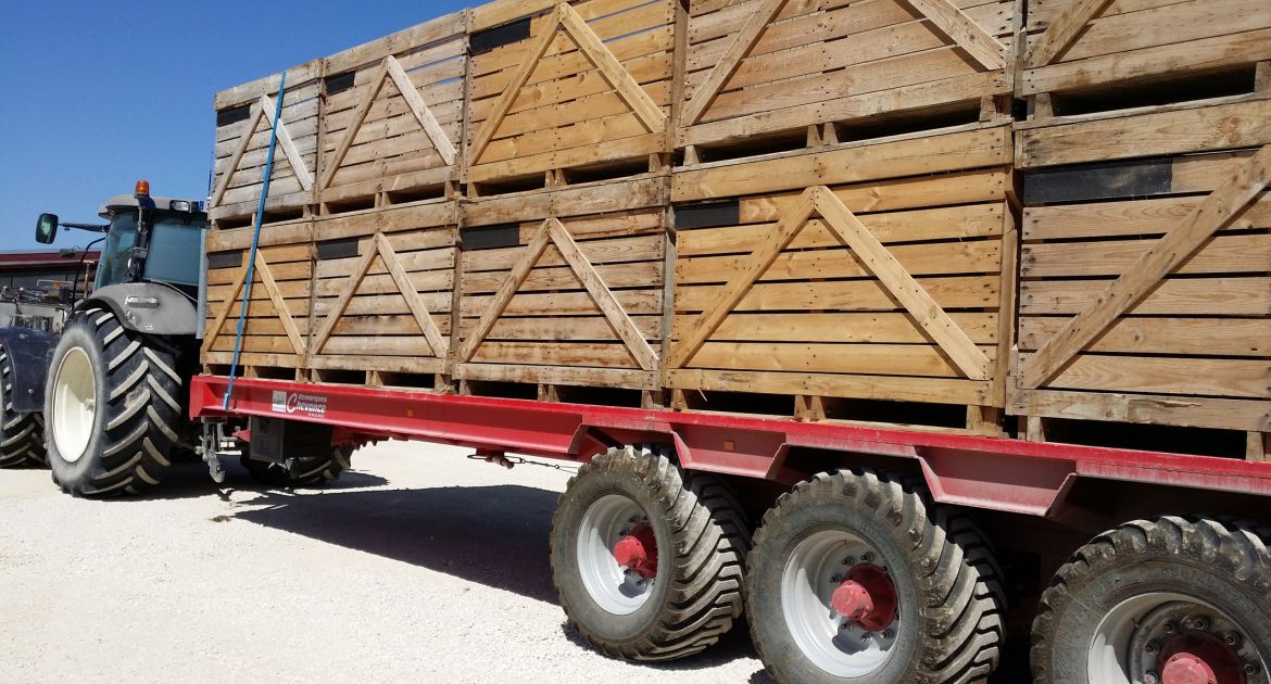 FlashAgri's tweet photo. 4️⃣ : [TRANSPORT] Chevance propose un porte-palox XXL 😳🍎🥦

▶️https://t.co/XY9BrpXZWn 🇫🇷🏆

#️⃣ #FlashAgri ⚡️🌱 #agriculture #MadeInFrance #chevance 
@GTPassion_ @MazanMickael @groupedaucy @Mediafel @rv59268 https://t.co/uwmvEygihP
