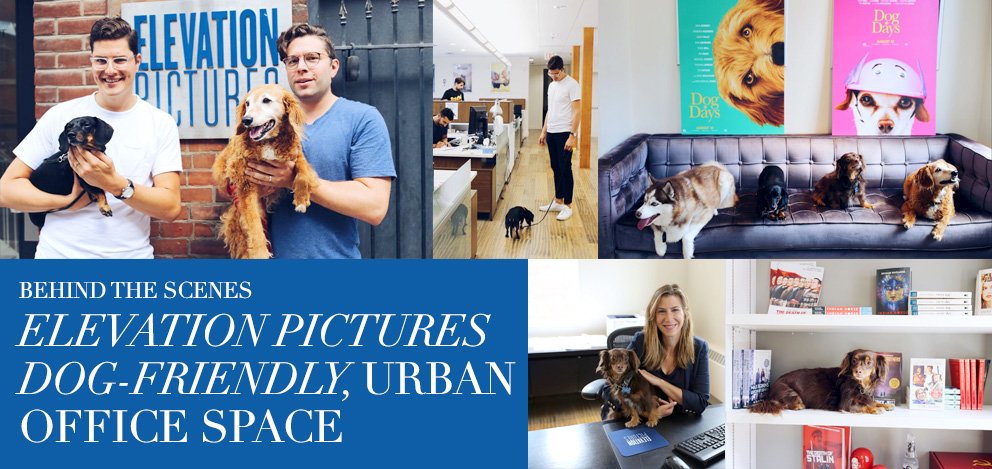 Get Leashed Magazine (@getleashed) on Twitter photo Get Leashed goes behind the scenes <a href="/Elevation_Pics/">Elevation Pictures</a> #DogFriendly office. We're #inlove! bit.ly/2Kz8s4G
#coolgigs
#DogDays
#livebeyondthedogpark
#getleashedmag Get Leashed goes behind the scenes <a href="/Elevation_Pics/">Elevation Pictures</a> #DogFriendly office. We're #inlove! bit.ly/2Kz8s4G
#coolgigs
#DogDays
#livebeyondthedogpark
#getleashedmag