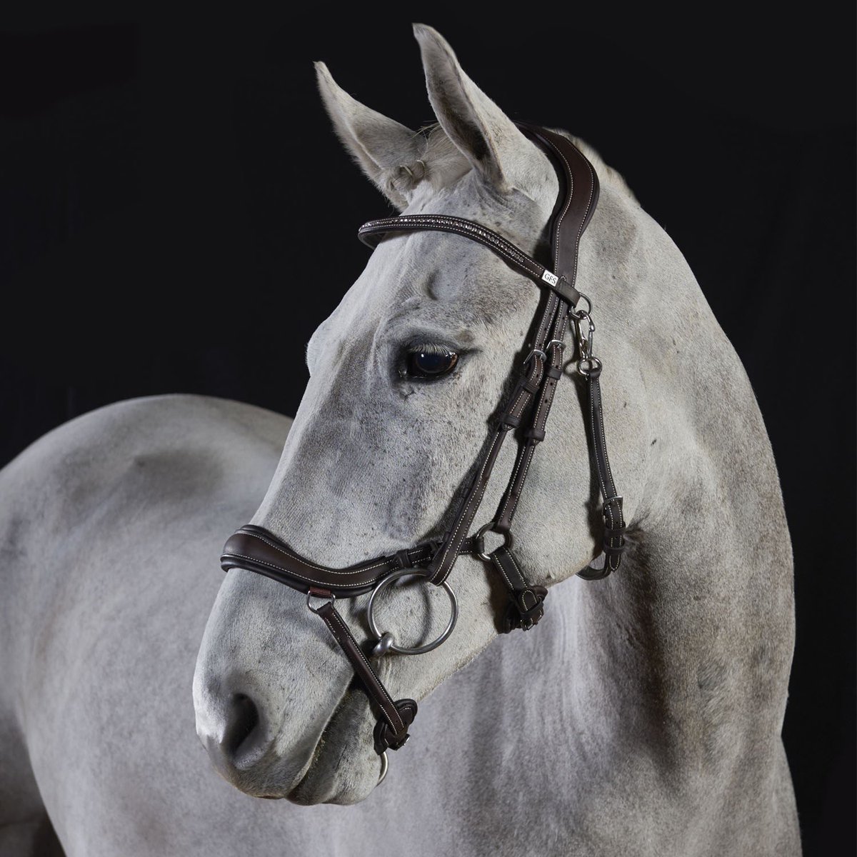 Brand new and in stock!  £159 and so well designed!  Own yours here >>>classicdressage.com/9167/products/…