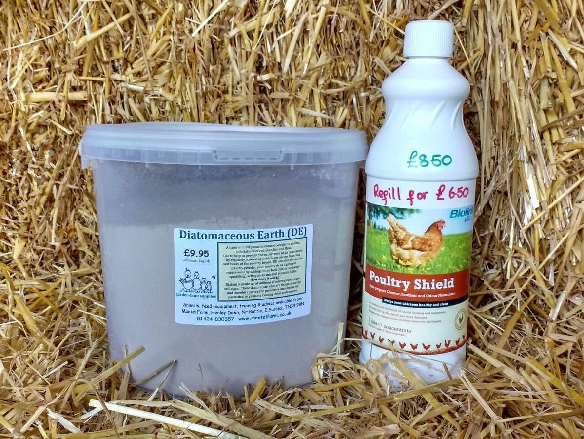 MantelFarm's tweet photo. Red Spider Mite Attack - Diatom And Poultry Shield Offer - Increase your preventative measures against Red Mite. After this long hot spell of weather, your poultry house will need a helping hand to combat the mite -  buy both together for a great saving https://t.co/sDLQ6dVTT1 https://t.co/DLojFNxz8Y