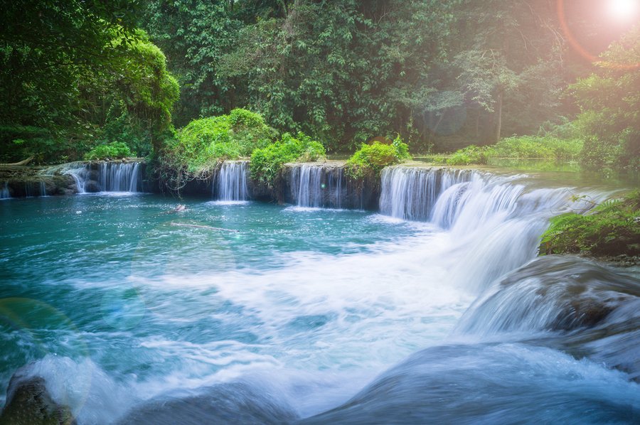 Vanuatu Citizenship tweet media