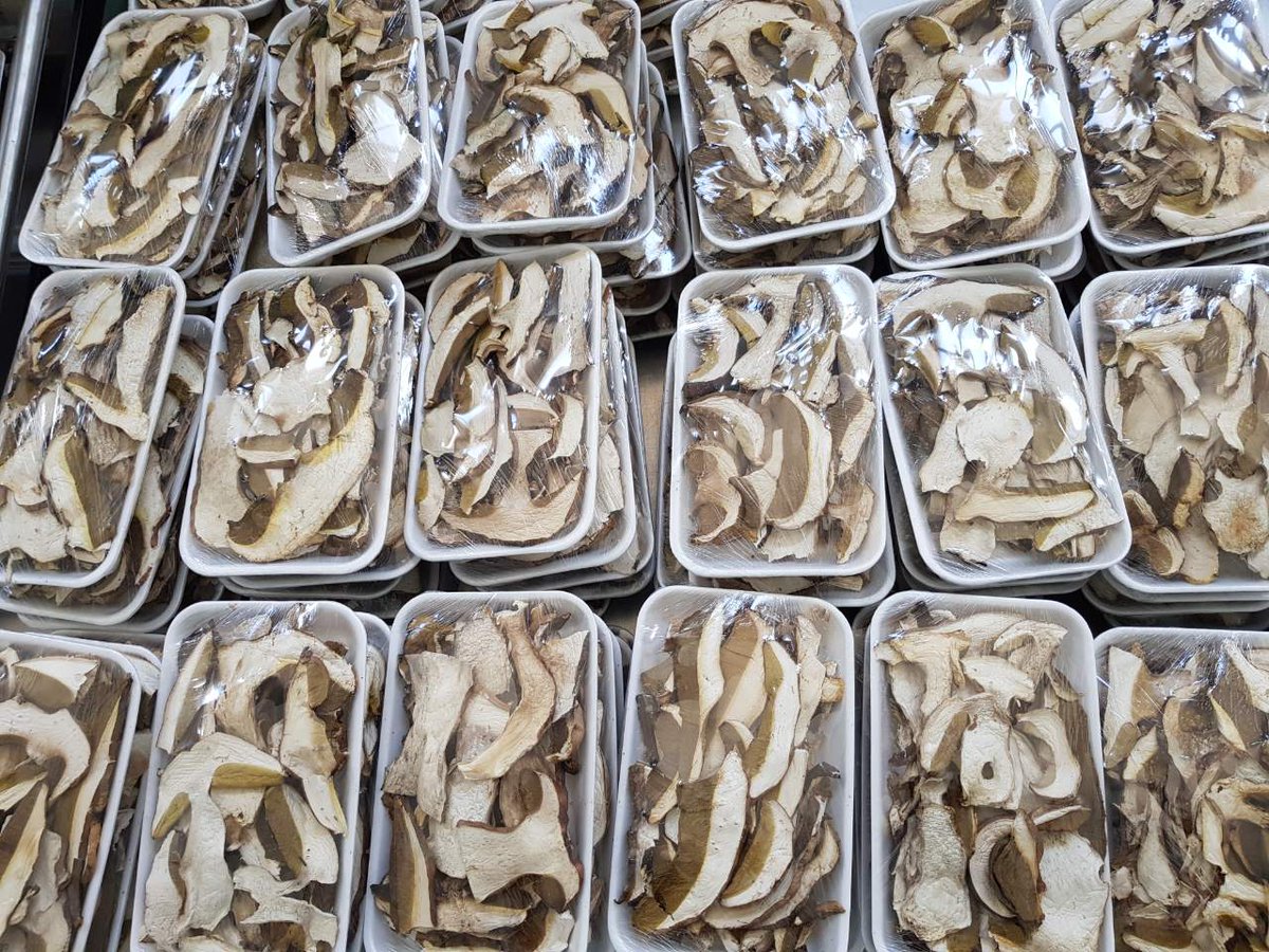 FineFoodLine's tweet photo. Looking for high-quality delicious #dried #porcini? Contact us: info@finefoodline.com ☎️ 00381605576173
#HealthyEating #HealthyFood #organic #export #nature #porcini #driedporcini #wildmushrooms
Visit our website: https://t.co/GpheK66GfA https://t.co/8MP88h3Q4H