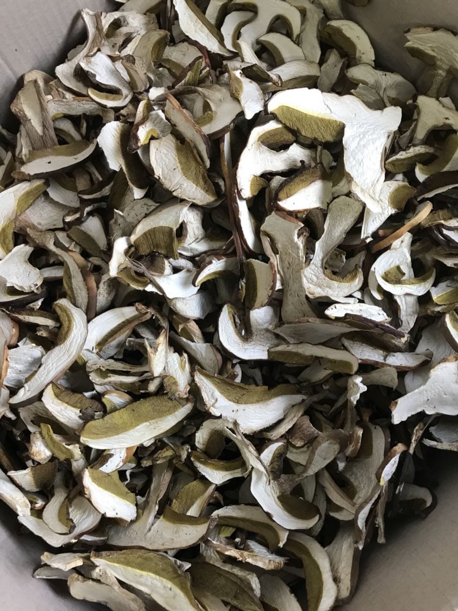 FineFoodLine's tweet photo. Looking for high-quality delicious #dried #porcini? Contact us: info@finefoodline.com ☎️ 00381605576173
#HealthyEating #HealthyFood #organic #export #nature #porcini #driedporcini #wildmushrooms
Visit our website: https://t.co/GpheK66GfA https://t.co/8MP88h3Q4H