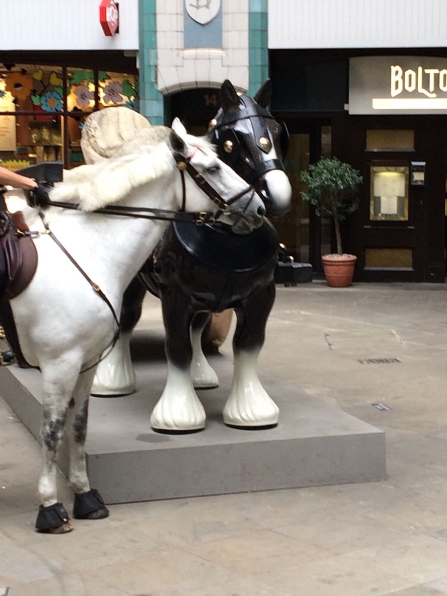 CityHorses's tweet photo. #PHDuke & #PHSawyer attempting to make a new friend whilst on patrol at Leadenhall Market π€!!?? @CityPolice @cityoflondon #leadenhallmarket https://t.co/lmDkzExoQu