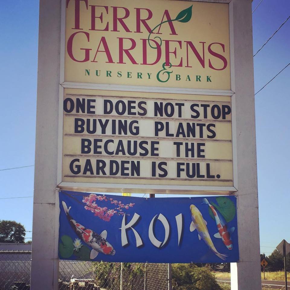 Terra Gardens On Twitter One Does Not Simply Give Up