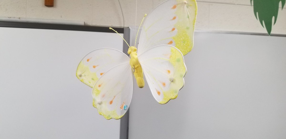 SPX7200's tweet photo. Look what the rain did to Mrs. Ritter's classroom. #SPXindy #schoolisstartingsoon #Rittersrainforest https://t.co/on5pSTfwFr