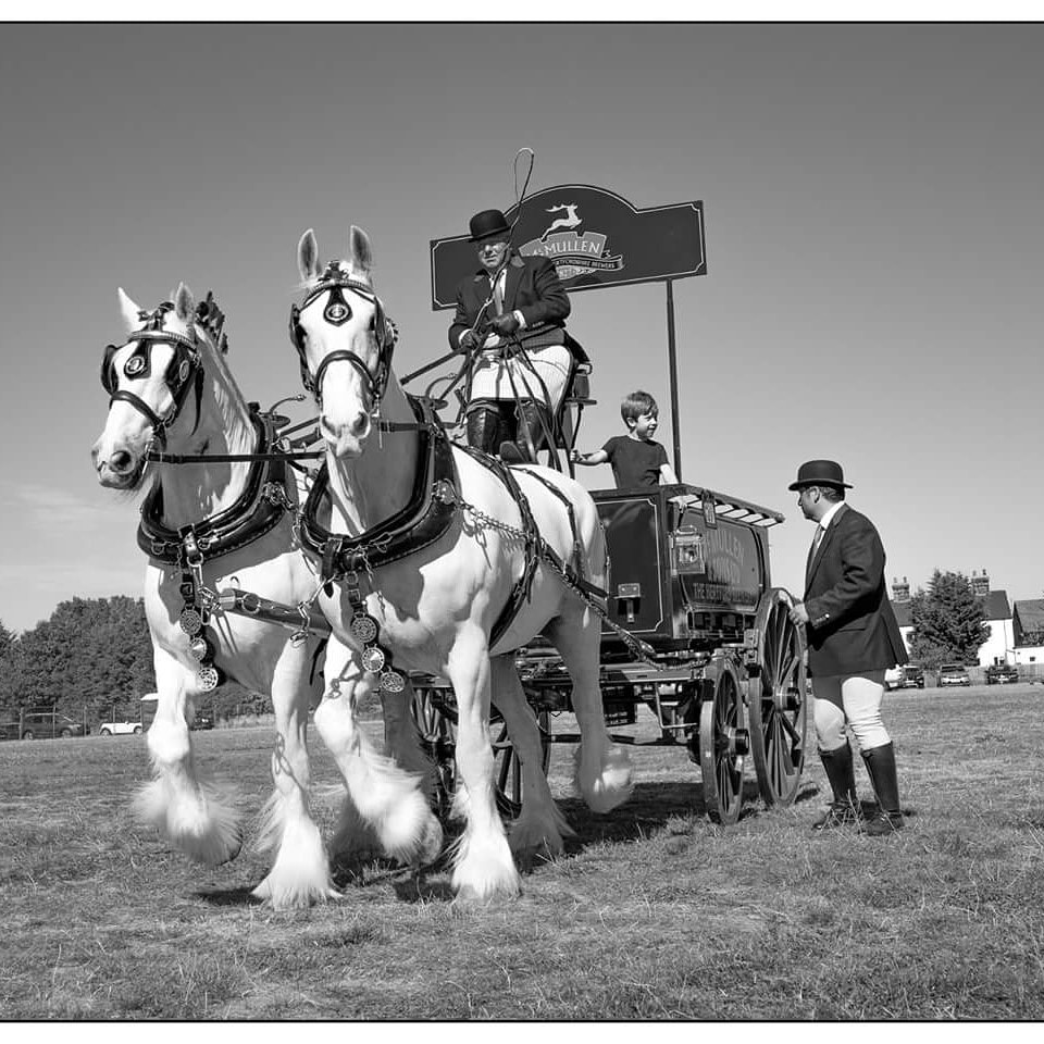 McMullens_pubs's tweet image. If you are into your county shows and #Shire Horse shows you may have seen our old dray venturing out this summer. The @WSShires guys have been incredible with their performances and winning awards, there is a lot of pride in keeping this heritage alive #AuthenticHeritage