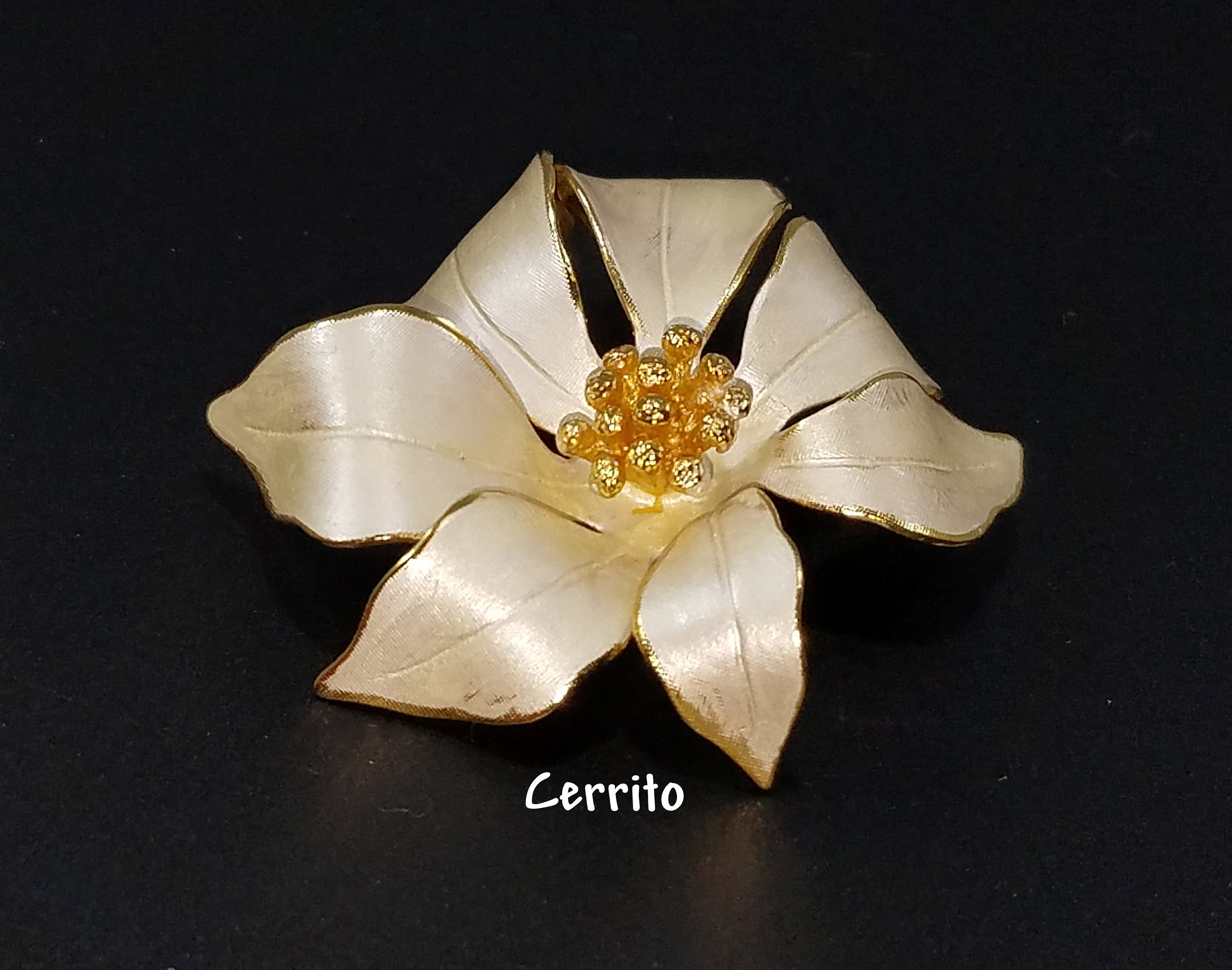 Cerrito brooch shop