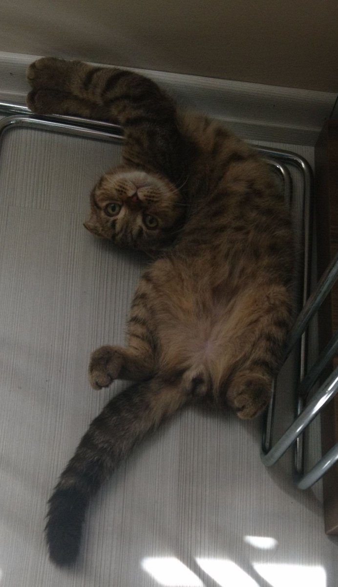 Exorcism