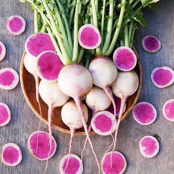 Vibrantly colourful and very Instagramable, Watermelon radishes have just gone on sale at Marks &amp; Spencer Foodhalls. They are grown in Sussex and the supermarket has reportedly spent six years developing its own variety of this heirloom radish which orig… ift.tt/2LWEPzL