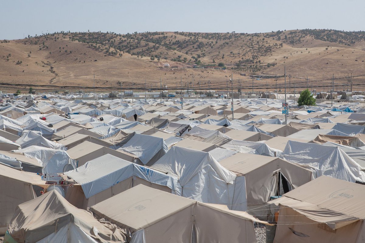 Sebastian Castelier tweet media