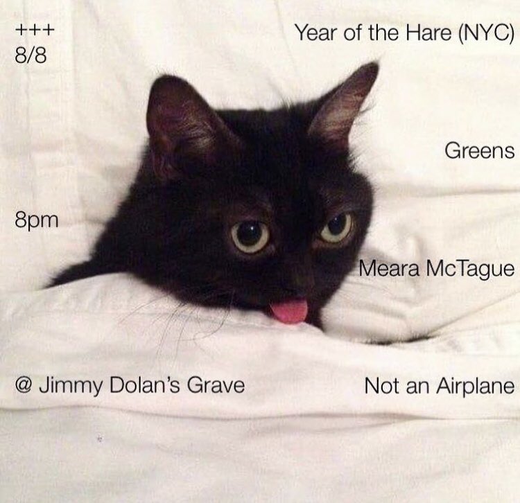 Albany tomorrow, 8/8