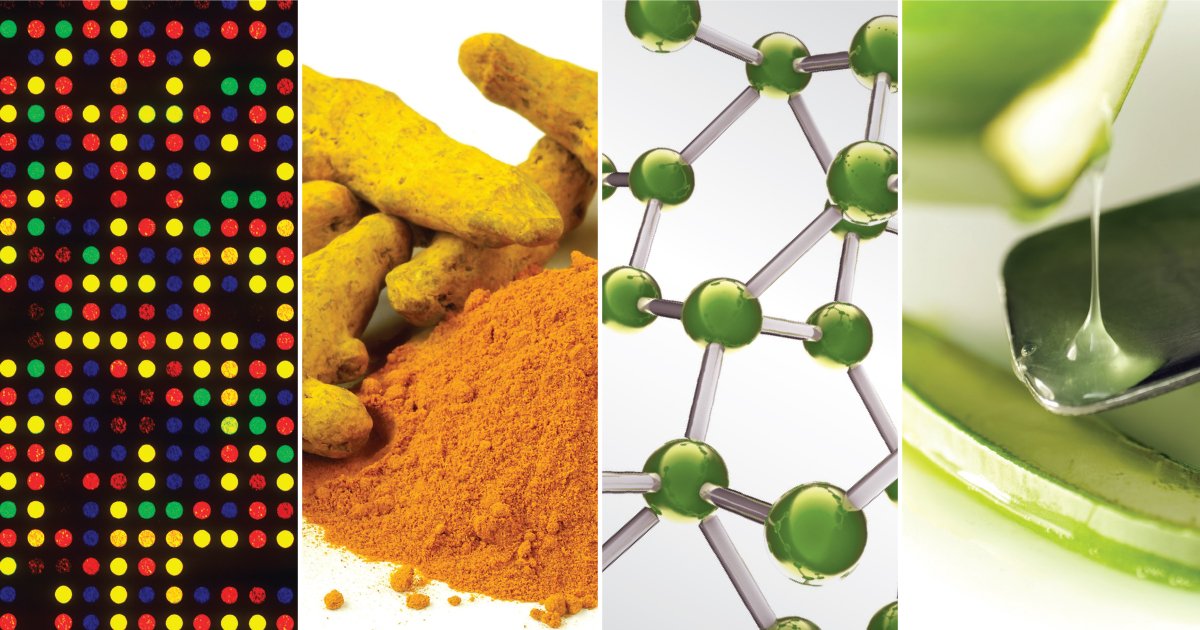 ebook environmental toxicants human exposures and their ebook environmental toxicants human