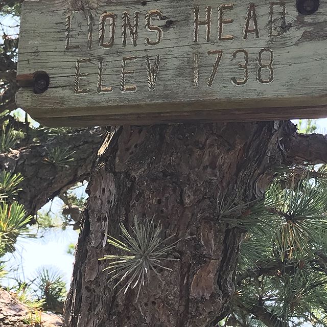 LLBean's tweet photo. Officially in New England, our #LLBeanATRelay team 26 made its first climb to the top of Lion's Head in Connecticut.  Learn more about our employees making their way to Maine along the #AppalachianTrail.  https://t.co/zD4gYdeRwt #BeanOutsider  (📷: Instagram's jane.devore) https://t.co/3VCGZ4XUC4