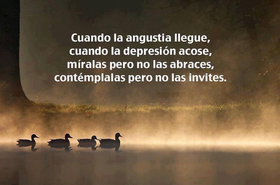 Psicologia Deportiva tweet media