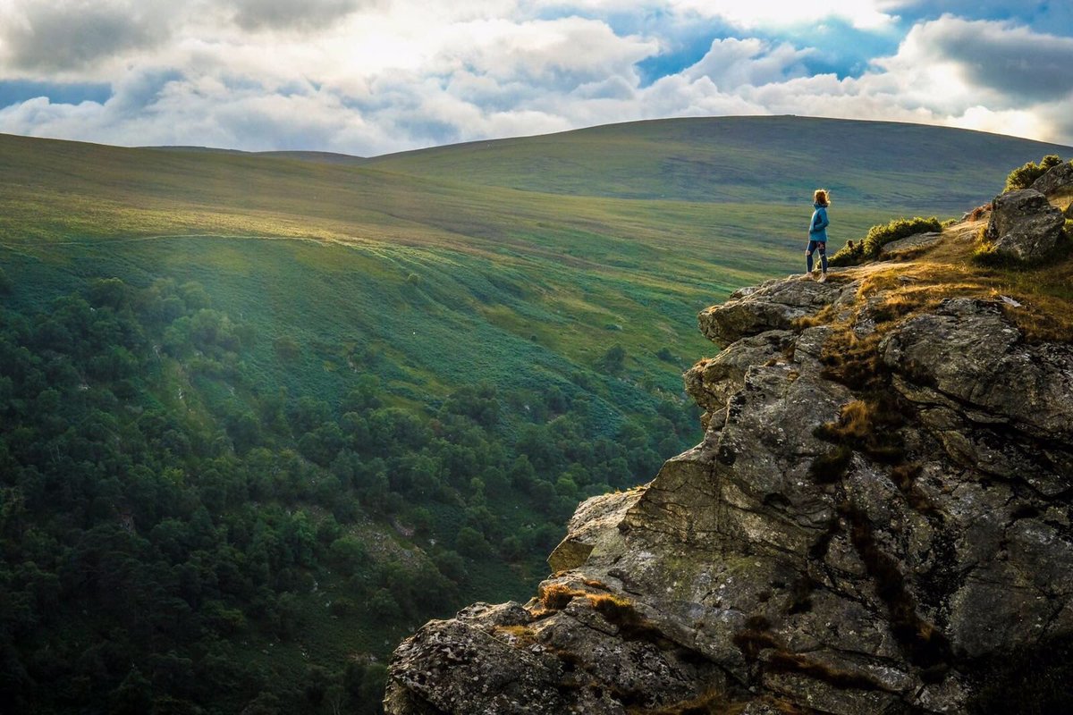 Sammy_brownie's tweet image. Ireland...