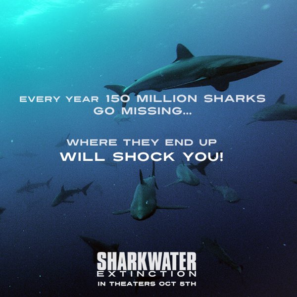 Up to 80 million #sharks are killed for their fins. Where are the other 70 million going? #SharkwaterExtinction in theaters Oct 5th.