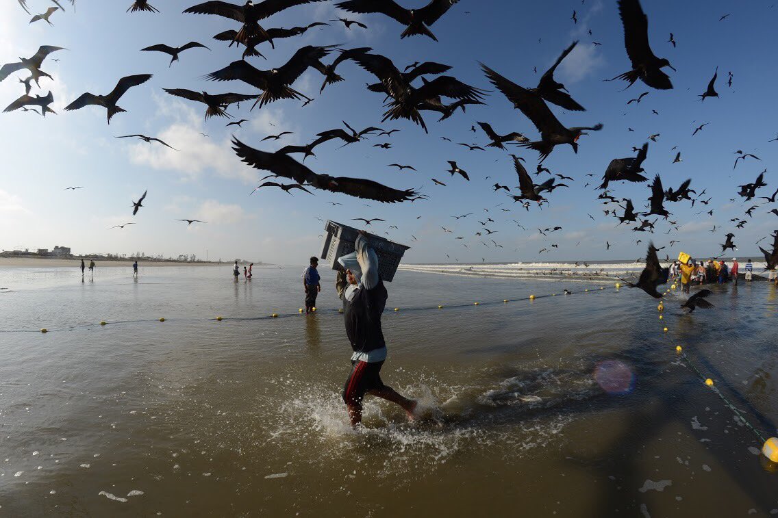 HamacaTours's tweet photo. Early catching is a lifetime experience that happens everyday in #tropicaldestinations .
#ecuador🇪🇨 #adventure #beachlife #travel #traveltueaday https://t.co/RH9wc2BClw