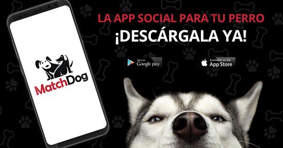 Matchdogmx's tweet photo. ¡Conectando a los amantes de los perros del mundo! Disponible en #Appstore y #GooglePlay 

Encuentra pareja y amigos para tu perro #dogsofinstagram #dogsoftwitter #MatchDog https://t.co/t2yVutmVv0