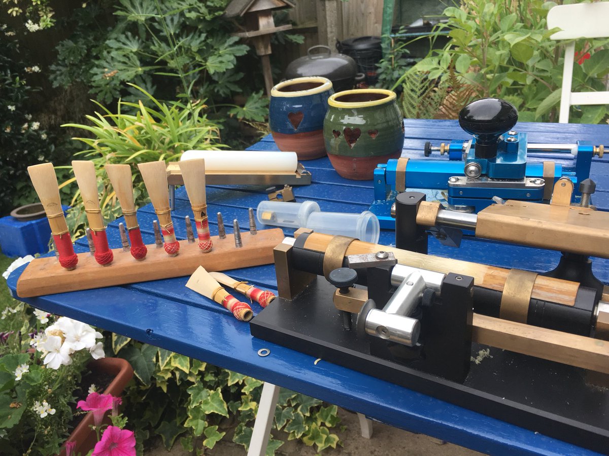 frasercontra's tweet photo. Sorry. Just another boring profiling Sarrusophone cane in the garden sort of post. #ProjectSarrusophone https://t.co/bdOLR2tP94