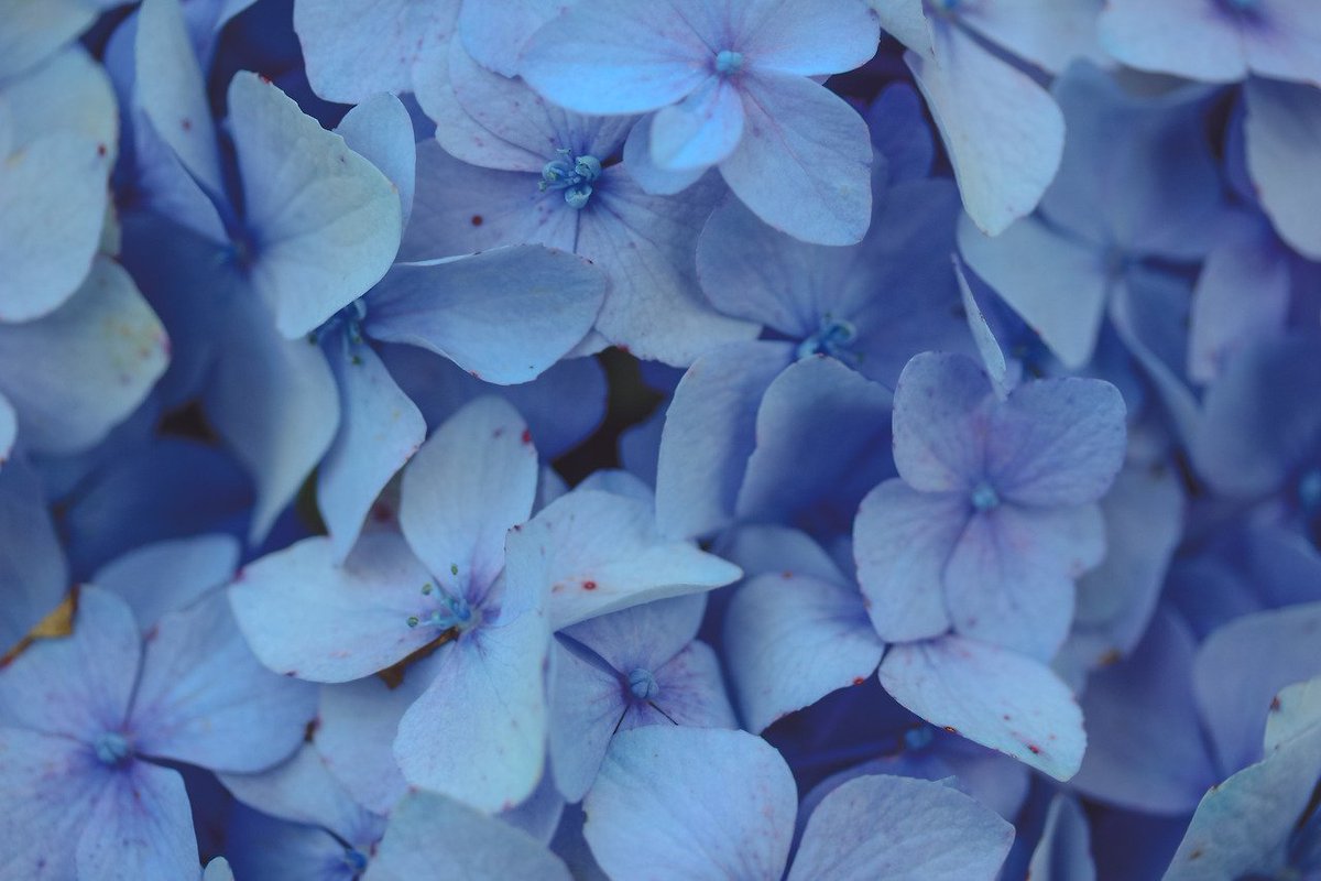alwcysdreaming's tweet photo. ❝─𝗋𝖾𝖺𝗅𝗂𝗍𝗒 𝗂𝗌 𝗋𝖾𝗅𝖺𝗍𝗂𝗏𝖾, 𝗅𝗂𝗏𝖾 𝗍𝗁𝖾 𝗈𝗇𝖾 𝗒𝗈𝗎 𝖿𝖾𝖾𝗅 𝗒𝗈𝗎 𝖻𝖾𝗅𝗈𝗇𝗀 𝗂𝗇.❞ 

  . °✧ •  . ˚  ✵ .•

╰ ʜɪʟᴏ ᴅᴇ ᴛᴏᴅᴏ. ╮

            ❑; ʀᴘ ᴘʀᴏᴍᴏ. 
            ❑; ᴏᴛᴘ's ʏ ᴛʀᴀᴍᴀs.
            ❑; ʀᴏʟᴇs ʏ sϙᴜᴀᴅs. 

¿ʀᴛ? https://t.co/aG5ThrESvE