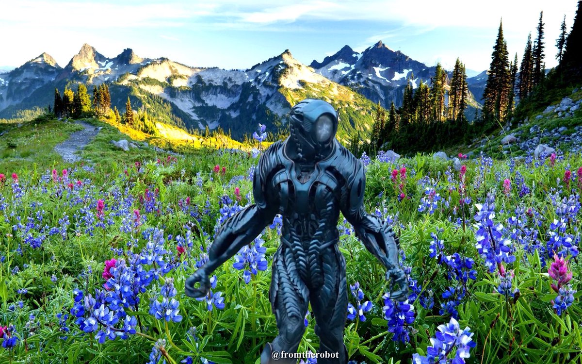 fromtherobot's tweet image. #lostinspace #therobot #fromtherobot #flowers #mountain