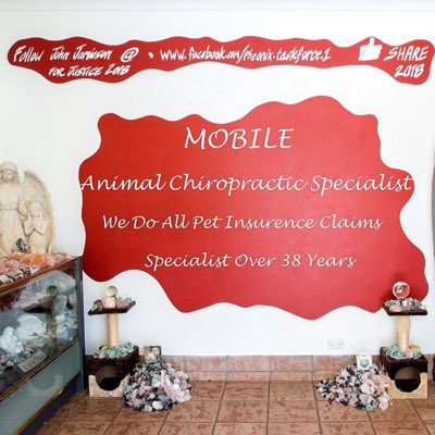 DocAnimalChiro's tweet image. #NewProfilePic