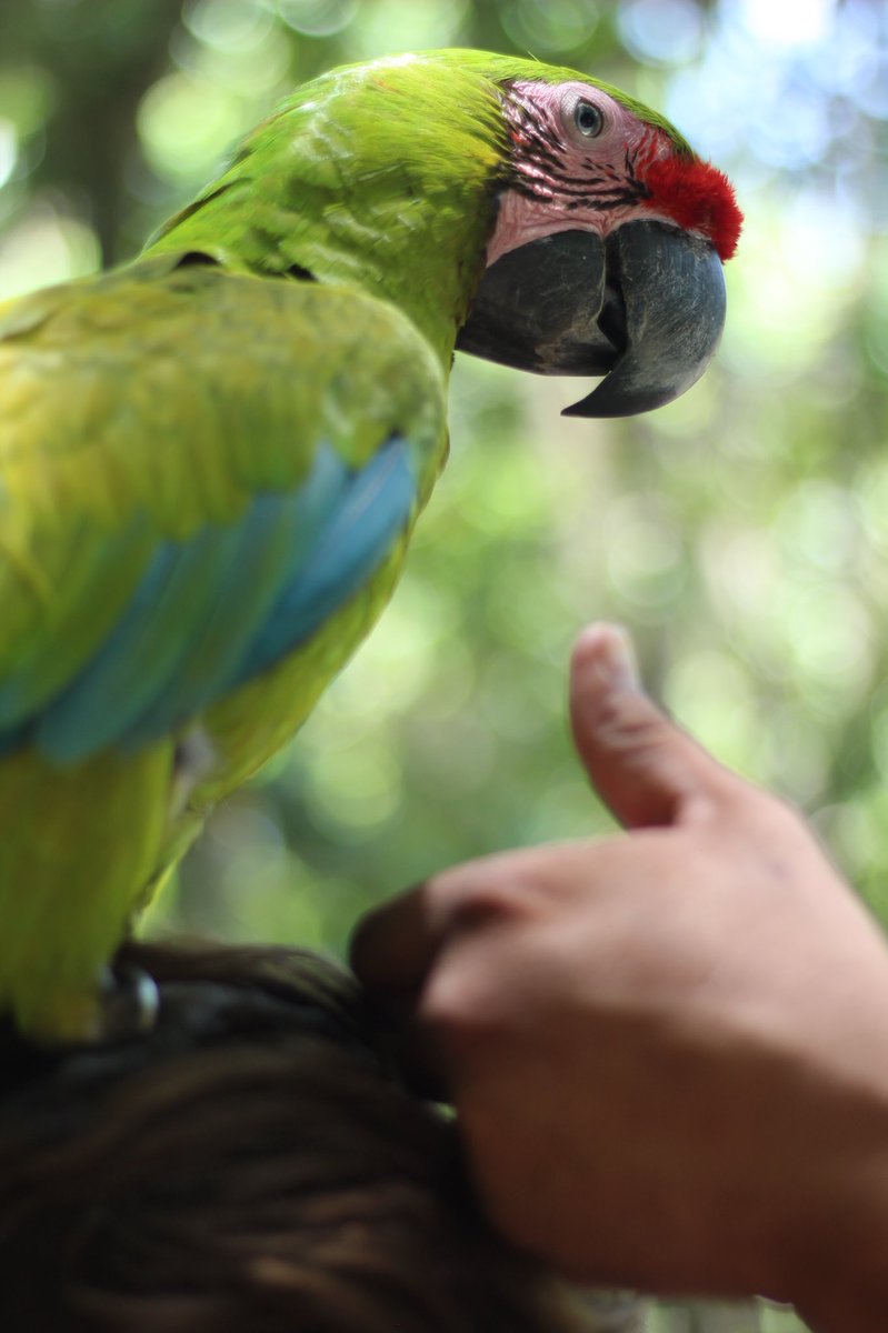 We enjoy Honduras &amp; Costa Maya, but not as much as we enjoy stealing bowls from the salsa making class!