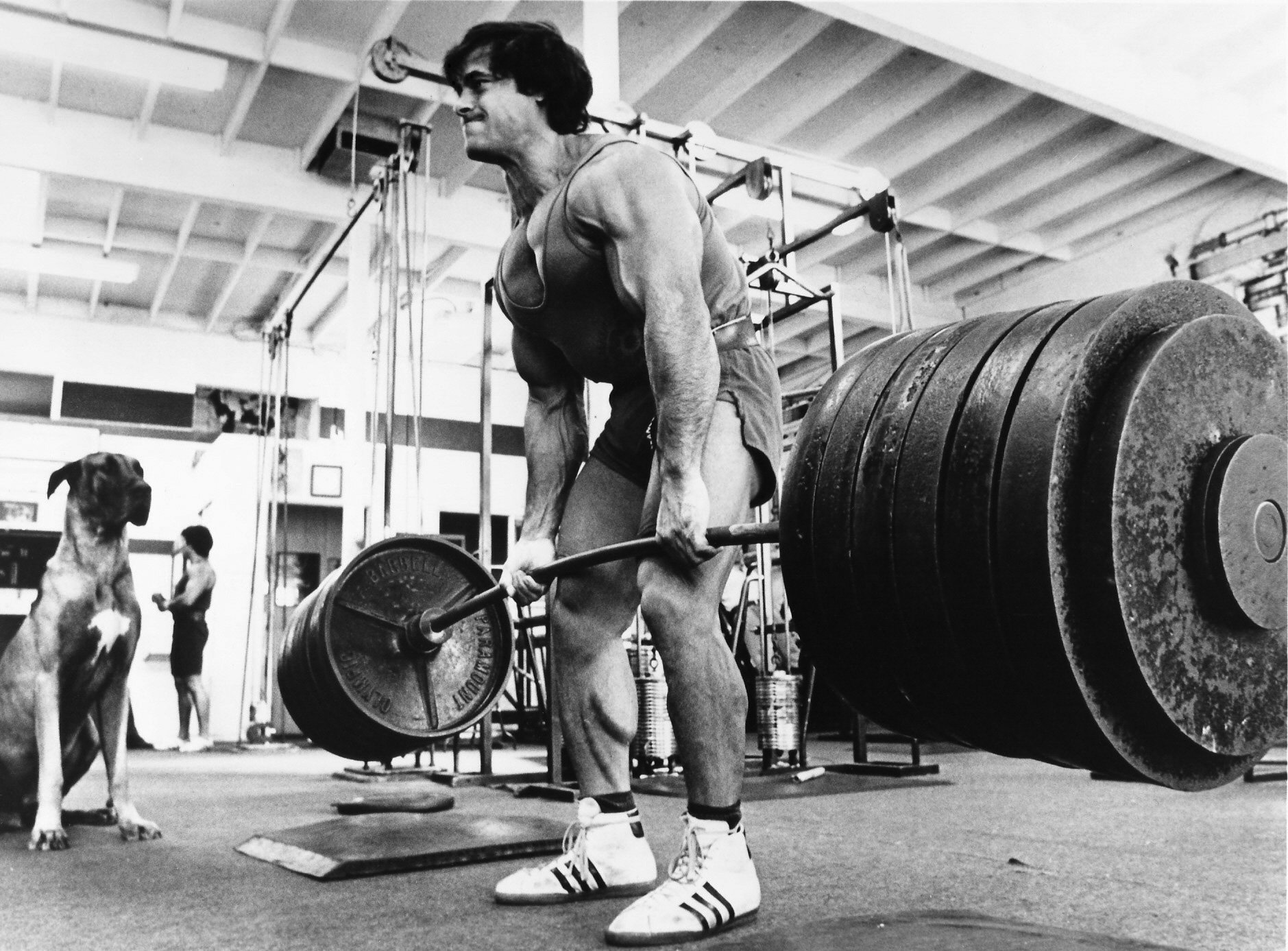 Happy bodybuilding birthday to Mr.Olympia Franco Columbu! 