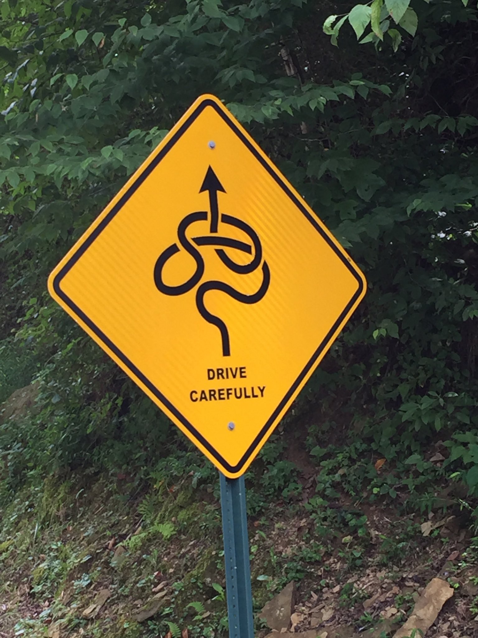 Adele Arakawa on Twitter "Hmmmm. It even LOOKS the way my stomach is gonna feel. 