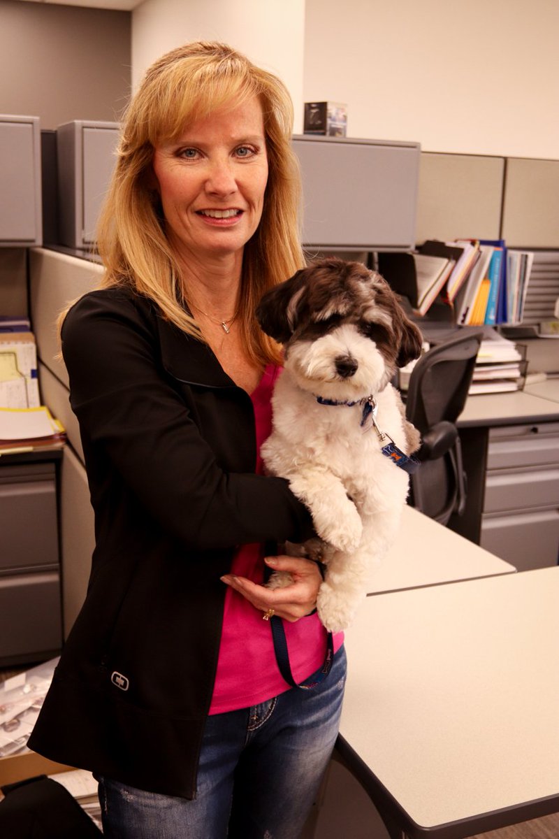 UnitronGlobal's tweet photo. On Friday, June 22nd, our employees took part in our now annual Take Your Dog to Work Day for the @LFCDogGuides and raised over $240! The pups had morning and afternoon play breaks as well as a lunchtime walk and lots of office fun #TakeYourDogToWorkDay https://t.co/1MwgJxAeWR