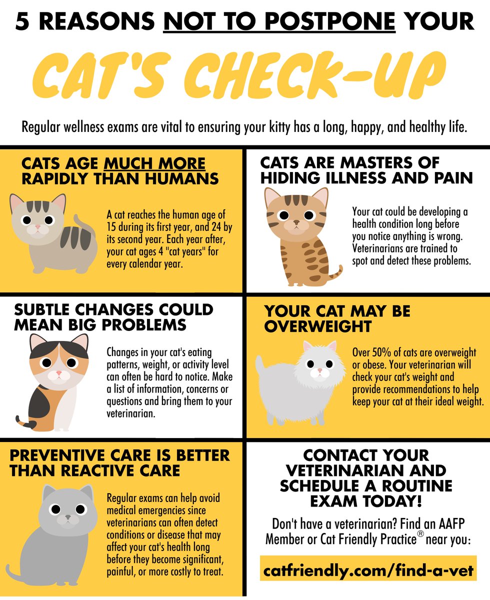 Dog And Cat Years Chart