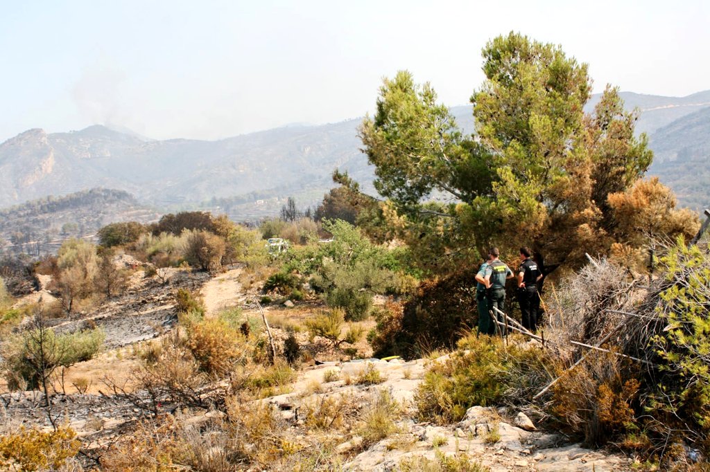 GVAagricultura's tweet photo. ⛑️ El equipo de agentes medioambientales que trabaja en el grupo de investigación de causas han logrado constatar gráficamente que el origen del incendio en #Llutxent fue la caída de un rayo sobre un arbol en la madrugada del lunes. #IFLlutxent #Stopalfoc https://t.co/iy1kuvdxzn