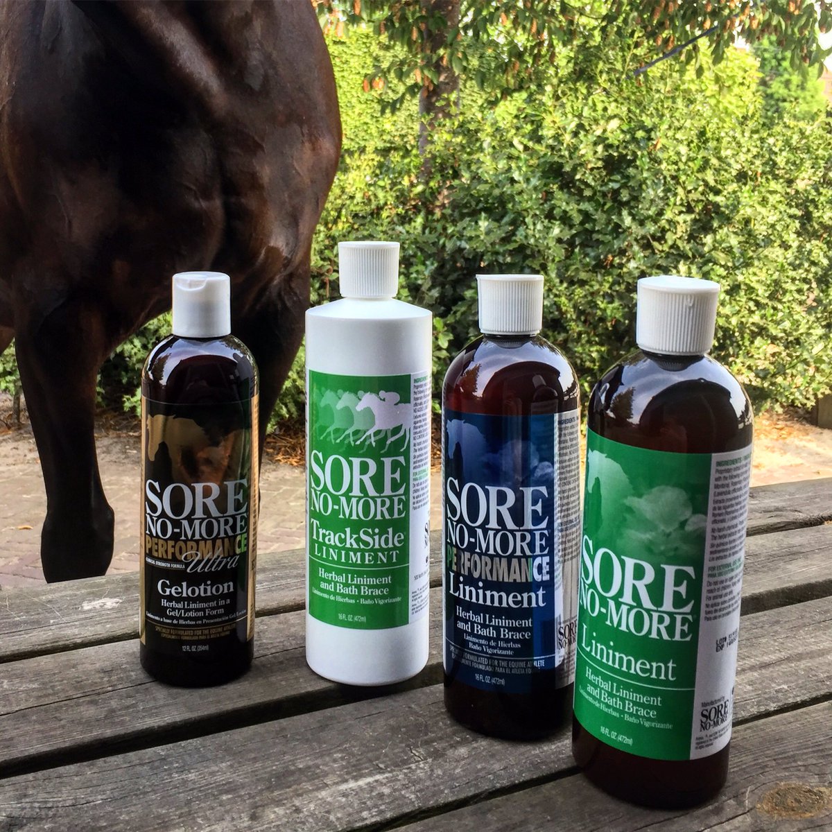 EQUISIO's tweet image. Thank you @arenushealth for the great Sore No-More products. #usa #allnatural #dopingfree #sonomore #arenusanimalhealth #gelotion #liniment