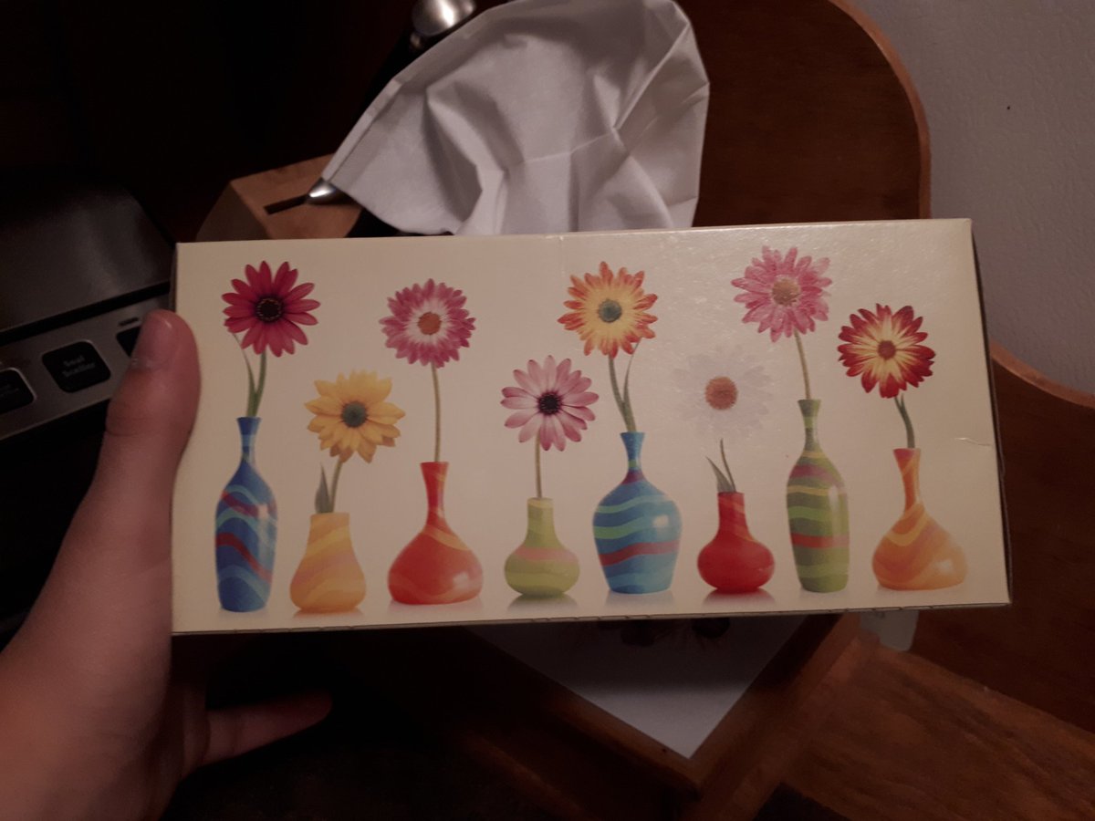 Got_NoStyle's tweet photo. Was at my grandparents house and I thought the tissue box had pikmin on it... It was not. https://t.co/Odm22XbiLu