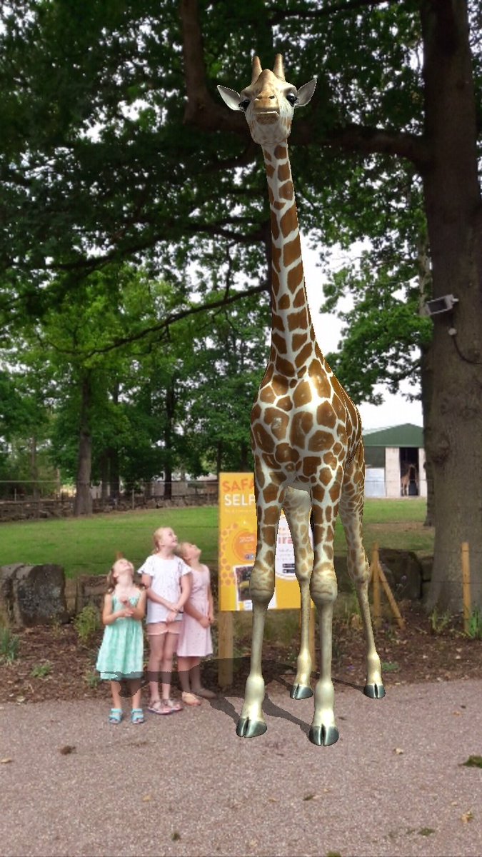 MrsHighcock's tweet image. Amazing day @KnowsleySafari getting up close with the animals #SafariSelfie #safariexplorers