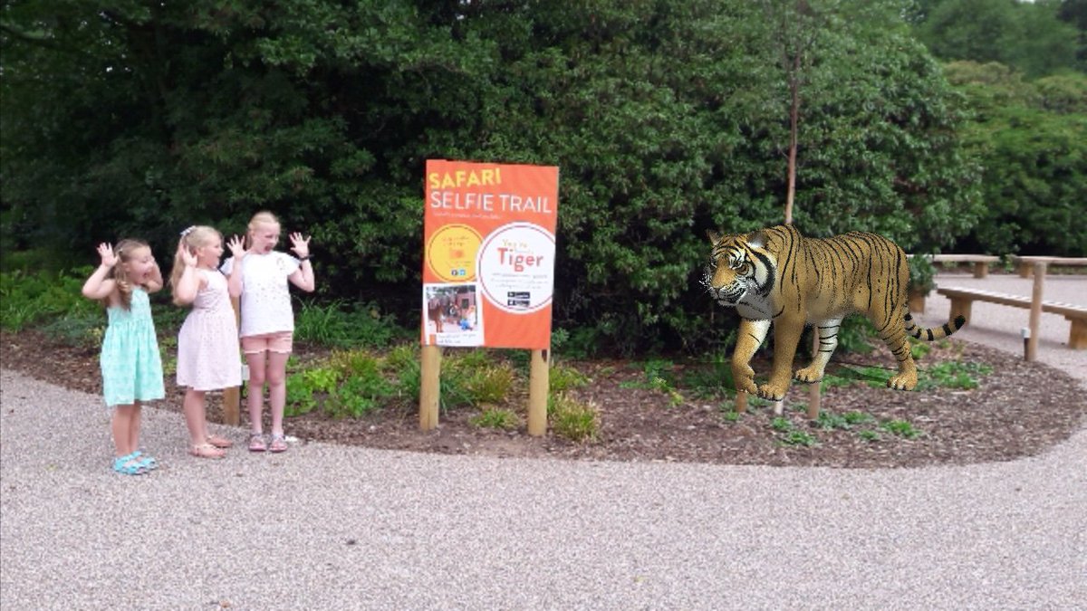 MrsHighcock's tweet image. Amazing day @KnowsleySafari getting up close with the animals #SafariSelfie #safariexplorers